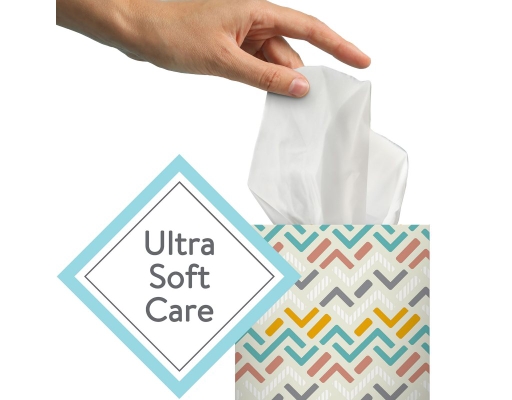 Member's Mark Member's Mark Ultra Soft Facial Tissues - Dutch Goat