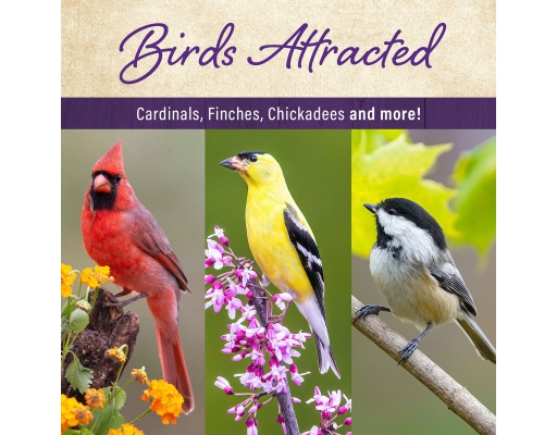 Member's Mark Supreme Blend Wild Bird Food 40 lbs.