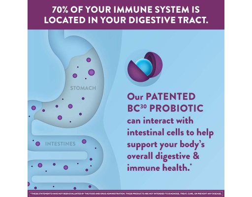 Digestive Advantage Daily Probiotic Gummies Fruit 120 ct