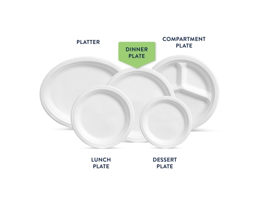 Chinet Classic Dinner Plates White 10.37 Inch (165-ct)