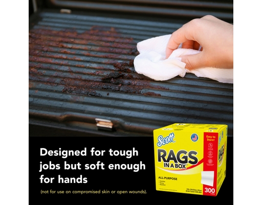 Scott Rags In A Box All-Purpose Paper Towels 300 ct