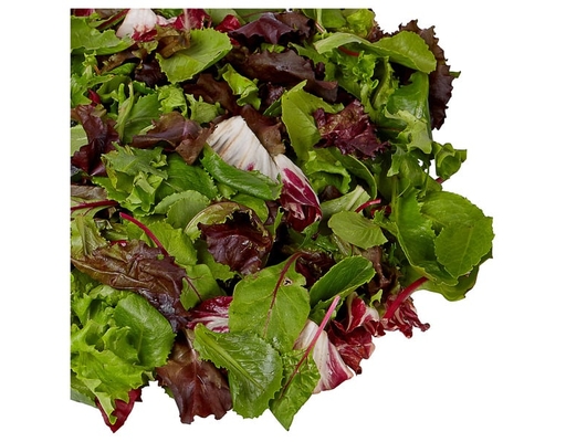 Organic Spring Mix, 1 lb