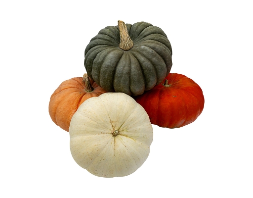 Large Heirloom Pumpkin, 1 count. Fresh Produce image 0