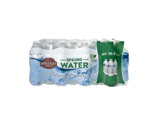 Wellsley Farms Spring Water, Bottles, 40 pack, 16.9 fl. oz.