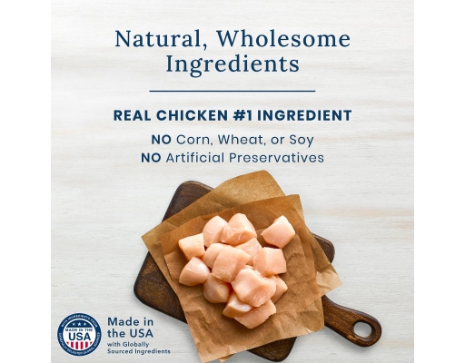 Nudges chicken jerky cuts 40 oz online