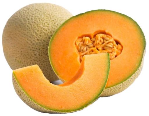 Large Cantaloupe, 1 count Fresh Produce