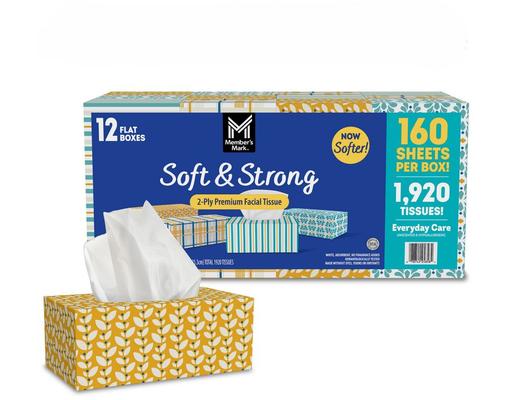 Soft & Strong 2-Ply Premium Facial Tissues, 160 ct (12-pk) Member's Mark