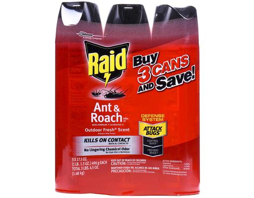 Ant & Roach Killer Spray, 17.5 oz (3-pk) Raid