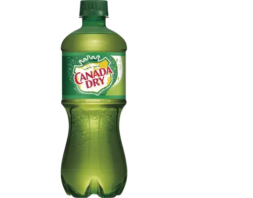 Ginger Ale, 20 fl oz, 24 count Canada Dry