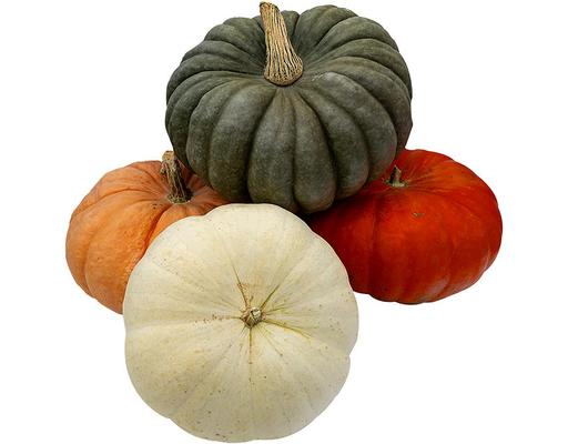 Large Heirloom Pumpkin, 1 count. Fresh Produce